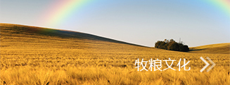 力豹潤(rùn)滑油